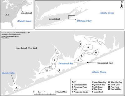 Composition and Intraspecific Variability in Summer Flounder (Paralichthys dentatus) Diets in a Eutrophic Estuary